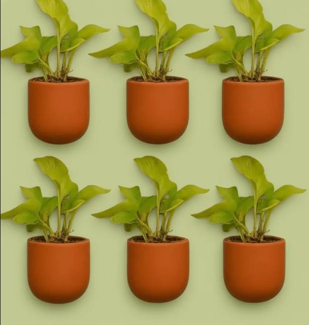 Autumn   4   Inch   Terracotta   Wall   Planter   |   Hanging   Wall   Pot